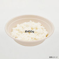 パックスタイル バガス容器 BBどんぶり 205φ×60H ラミ 653143 1袋(50個)（直送品）