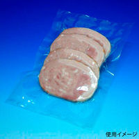 中本アドバンストフィルム 真空袋 SBN規格袋 SB1528 1袋(100個)（直送品）