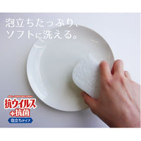抗ウイルススポンジ 泡立ちタイプ 5個 オーエ