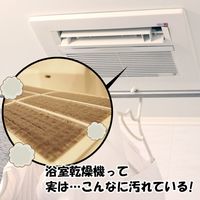 フィルたん パッと貼るだけ ホコリとりフィルター 浴室乾燥機用 2枚入 1個 東洋アルミエコープロダクツ