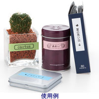 テプラ TEPRA Liteテープ 幅15mm 青ラベル(黒文字) LP15B 1個 キングジム