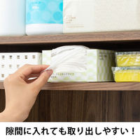 水切りネット ストッキングタイプ 浅型排水口用 1箱（110枚入）   オリジナル（わけあり品）