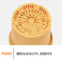 【園芸用品】 ベストコ ベストコ 鉢 ポット 8号 モスイエロー 園芸 菜園 栽培 花 MA-3116 1個