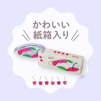 トンボ鉛筆【PIT】 テープのり ピットエアーミニ 本体 限定柄 レモン PN-CASG10L 1セット（5個）