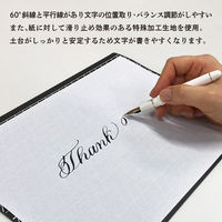 共栄プラスチック Kiwami ライティングマット下敷 A4+ リバーシブル 黒 WMSL-A4-BL 1枚