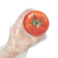 小野商事 低密度ポリエチレン手袋 外エンボス Lサイズ AG7520 AG7520L 1箱(100枚入)