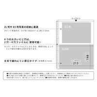 myfa（ミファ）コレクションポケット 2ポケット A4 30穴 2L判写真・A5判用 10枚入 1セット（5袋）リヒトラブ