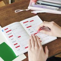 フィルム付箋 はがせるマーカー STUDY レッド 本体 緑シート付 幅6mm HM4002 1個 カンミ堂