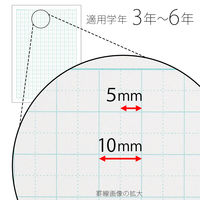 日本ノート 科目名入り スクールライン 算数 セミB5 SLS10MT 2冊