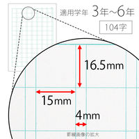 日本ノート 科目名入り スクールライン 漢字ドリル セミB5 SLK104 2冊