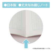 かるい学習帳 連絡帳 A5 11行 NA51-R11 ナカバヤシ 2冊