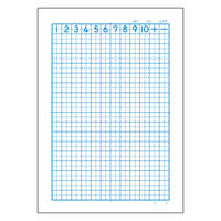 日本ノート カレッジアニマル学習帳 算数ノート セミB5 17マス・十字リーダー入 ラッコ LP26 2冊