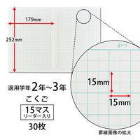 学習帳　こくご　セミB5　ムーミン　15マス　リーダー　2冊　LU315R　日本ノート