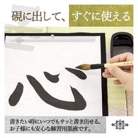 墨運堂 墨の精 墨液 180ml 12228 1セット(12本)