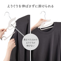 ダイヤ フランドリー・すべりにくいハンガー22P GY 058139 1セット（22本）