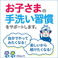 【アウトレット】ビオレu 泡スタンプハンドソープ にくきゅうで出てくるタイプ マイルドシトラスの香り 本体 250ml 2個 花王　弱酸性