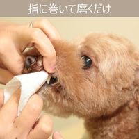 初めての歯磨きシート 犬猫用 日本製 30枚入 3個 トーラス