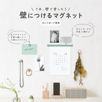 コクヨ 壁につけるマグネット補助板(丸) グリーン LSW-MGP100G 1セット(25枚:5枚×5)