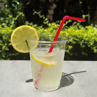 EPP クリアカップ 14オンス 420ml 1セット（250個：25個入×10袋） オリジナル