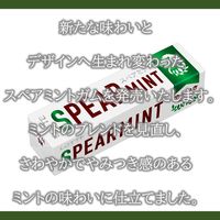 スペアミントガム 15個 ロッテ ガム