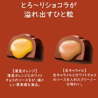 プレミアムガーナ ショコラセレクション 3個 ロッテ チョコレート