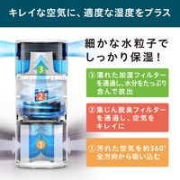 アイリスオーヤマ 加湿空気清浄機 10畳 グレー AAP-SH20A-H 1台（直送品）