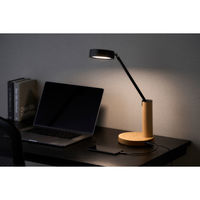 アイリスオーヤマ デスクライト Qi充電シリーズ 平置きタイプ 調光・調色 LEDデスクライト LDL-QF02DL-T ウッド（直送品）