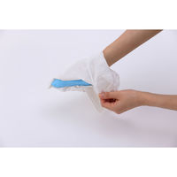 アイリスオーヤマ うんち袋  お徳用 まとめ買い 犬用品 散歩 トイレに流せる 手が汚れにくい ペット用 マナー袋 P-MNB300 300枚入り（直送品）