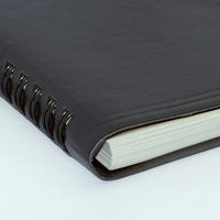 コレクト ウィークダイアリー　Ｂ５ D-41(2024) 2冊（直送品）