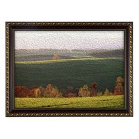 ナカバヤシ 作品フレームアーテム/八ツ切 /ブラウン F-GP-101-BR 1セット(2枚)（直送品）