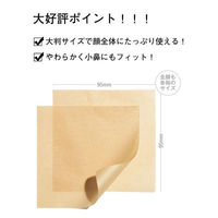 ORBIS（オルビス）あぶら取り紙 5冊（30枚×5冊）