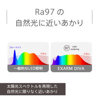 デスクライト クランプ型 スワン電器 ブラック シンプル 調光 調色 レディックエグザーム DIVA LEX-996BGY 1個