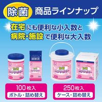 白十字 エタワイパー(ケース詰替用) 24-6144-03 1箱(250枚入)（直送品）