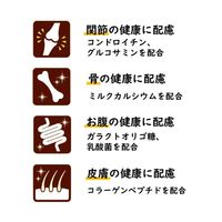 （バラエティパック）いなば ちゅーるごはん 犬 ビーフ・チーズバラエティ 国産（14g×20本） 1袋 ちゅ～る ドッグフード 犬用 ウェット おやつ