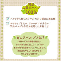 柔ごこち ピュアブラウン 1kg 1袋 小動物 ジェックス