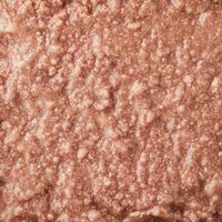 デビフ プリモデビィ グレインフリー シニア犬用 ビーフ 国産 95g 6個 ドッグフード ウェット