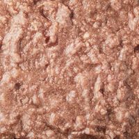 デビフ プリモデビィ グレインフリー 成犬用 ビーフ 国産 95g 24個 ドッグフード ウェット