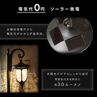 谷村実業株式会社 吊り下げプランターライト TAN-963 1個（直送品）