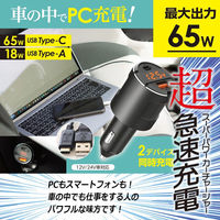 池商 スーパーパワーカーチャージャー RA-SPCC 1個（直送品）