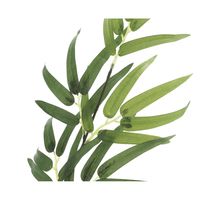 アートクリエイション 黒竹1.8(幹:天然黒竹) 幅600×奥行600×高さ1800mm 775A450-33 1個（直送品）