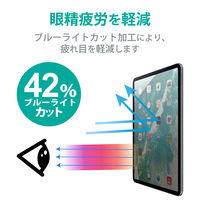 iPad 第10世代(2022) のぞき見防止/プライバシーフィルム 着脱式 TB-A22RFLNSPF4 エレコム 1個（直送品）