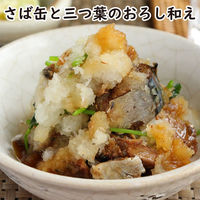 いなば食品（株） いなば食品 ひと口さば 水煮 115g×12個 4901133908873（直送品）