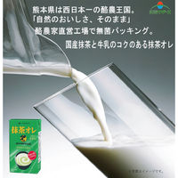 らくのうマザーズ 抹茶オレ 250ml×24本 4908839183177（直送品）