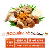 医食同源ドットコム iSDG 医食同源ドットコム しいたけスナック うま塩味 2袋 + マッシュルームスナック 2袋（直送品）