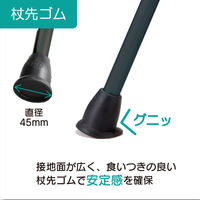 竹虎 ヒューゴステッキ ブラック 104750 1本