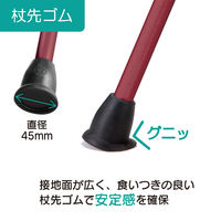 竹虎 ヒューゴステッキ ワインレッド 104756 1本