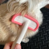 犬猫用 シリコンブラシ トレルンダ君 スリッカータイプ 日本製 S 1個 トレンディワン