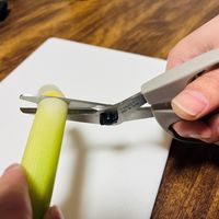 長谷川刃物 奥さまこだわりキッチンハサミ グレー 4962069075343 1セット(1個×3)