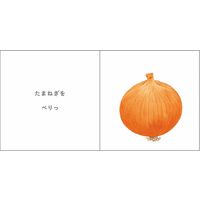 コクヨ しかけえほん2冊セット(くだものどうぞ・おやさいどうぞ) KE-WC54と57 1袋（直送品）