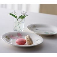 山加商店 ハナエモリ ペタル ファイブプチセット MB4401ー57 1箱（直送品）